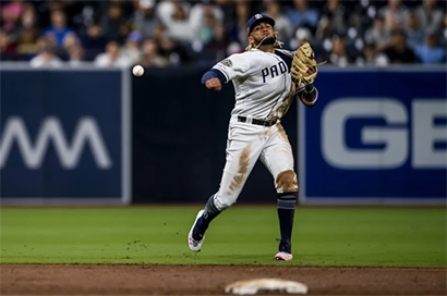 小費爾南多-塔蒂斯