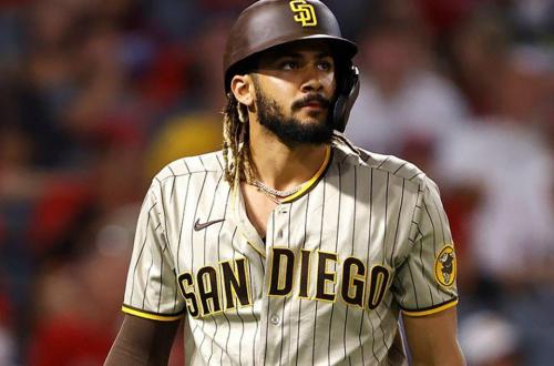 小費爾南多-塔蒂斯