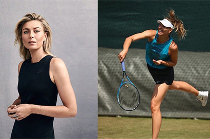 前球后莎拉波娃宣布懷孕