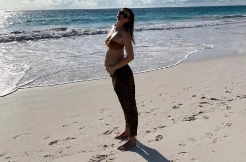 前球后莎拉波娃宣布懷孕