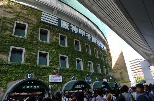 高三生甲子園夢碎