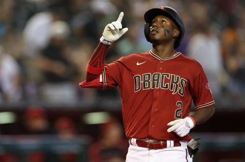 亞利桑那響尾蛇