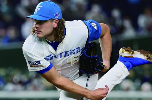 北海道日本火腿鬥士