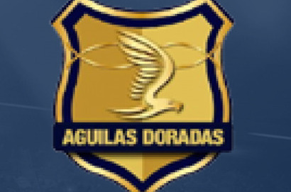 里奧內格羅老鷹