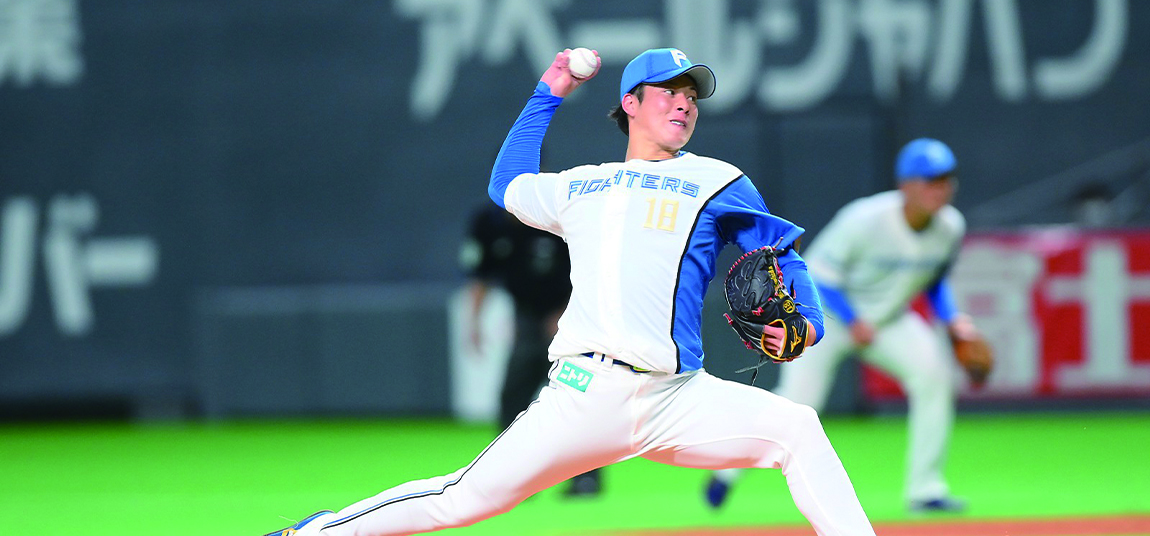 北海道日本火腿鬥士