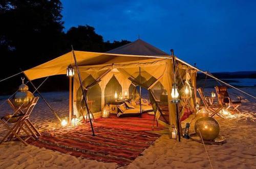 2022卡達世界盃露營熱