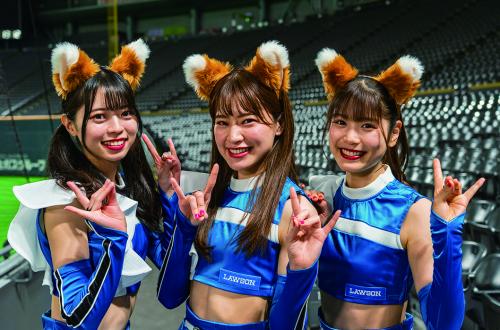 北海道日本火腿鬥士