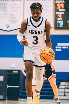 布萊斯·詹姆士