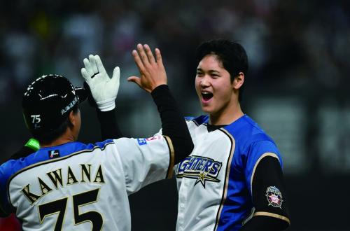 北海道日本火腿鬥士