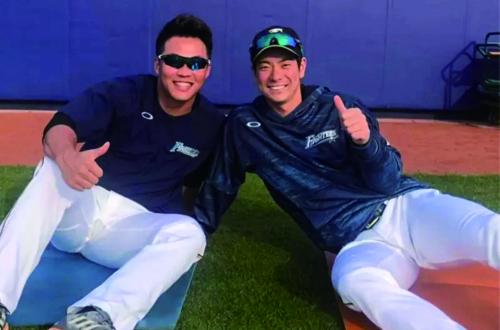 北海道日本火腿鬥士