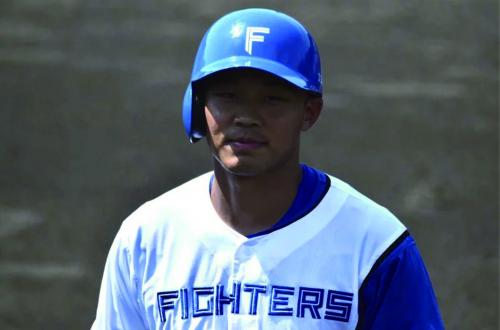 北海道日本火腿鬥士