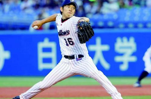 東京養樂多燕子