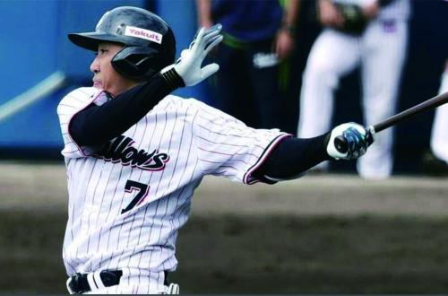 東京養樂多燕子