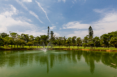 林口高爾夫球場