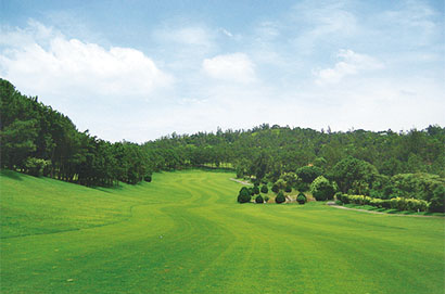 統帥高爾夫球場資訊