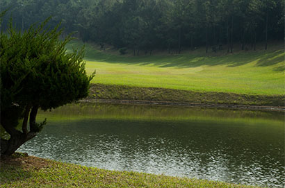 統帥高爾夫球場資訊