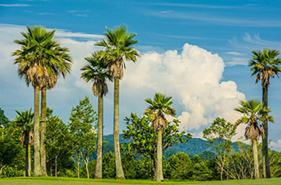 山溪地高爾夫俱樂部