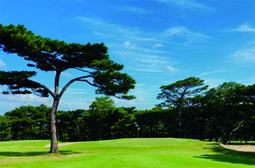 新豐高爾夫球場