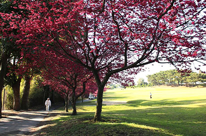 豐原高爾夫俱樂部