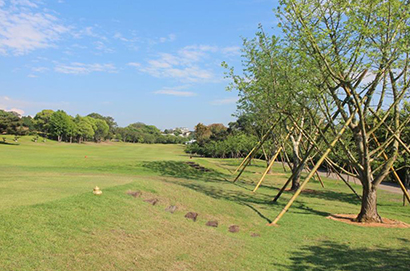 豐原高爾夫俱樂部