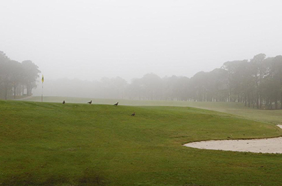 清泉崗高爾夫球場