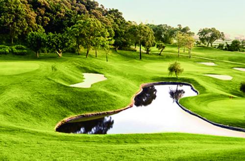 台豐高爾夫俱樂部