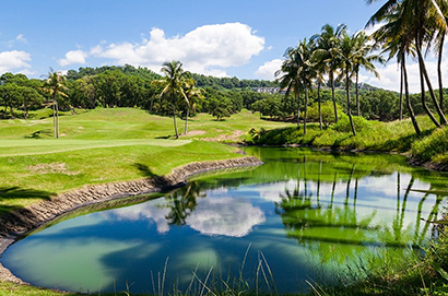 東洋棕梠湖高爾夫球場