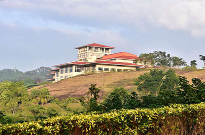 斑芝花高爾夫俱樂部