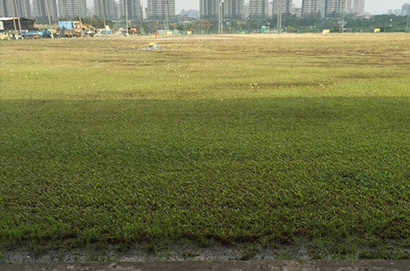 碧潭高爾夫練習場