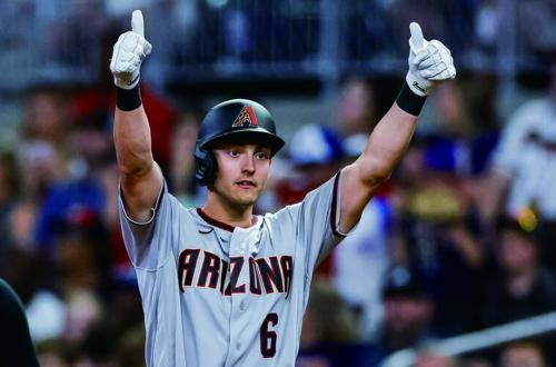 亞利桑那響尾蛇