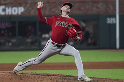 亞利桑那響尾蛇