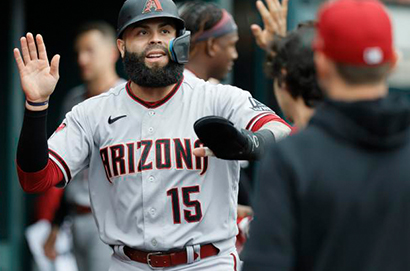 亞利桑那響尾蛇