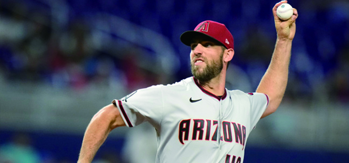 亞利桑那響尾蛇