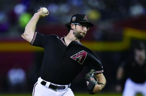 亞利桑那響尾蛇