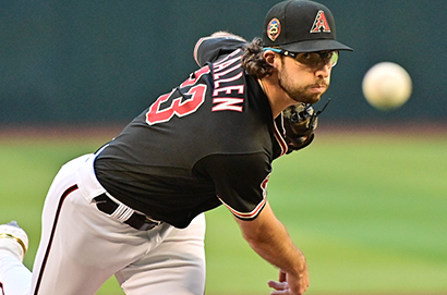 亞利桑那響尾蛇