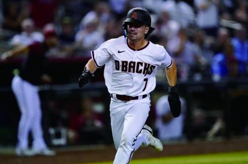 亞利桑那響尾蛇