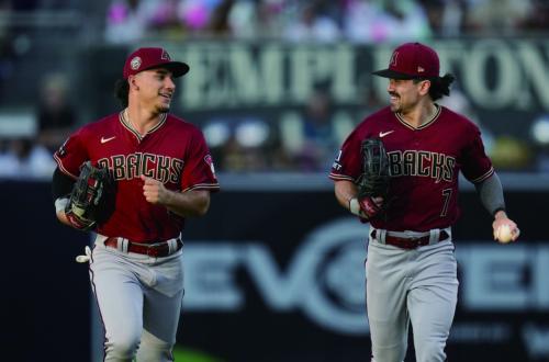 亞歷桑那響尾蛇