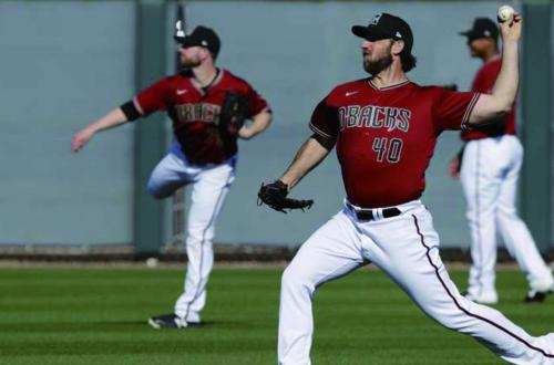 亞利桑那響尾蛇