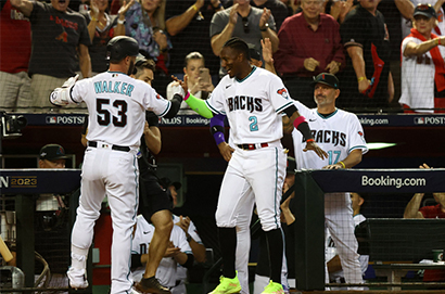 亞歷桑那響尾蛇