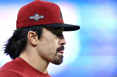 亞利桑那響尾蛇