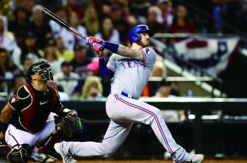 亞歷桑那響尾蛇