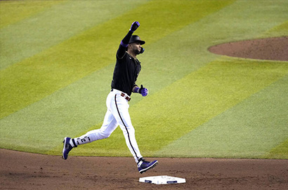 亞歷桑那響尾蛇