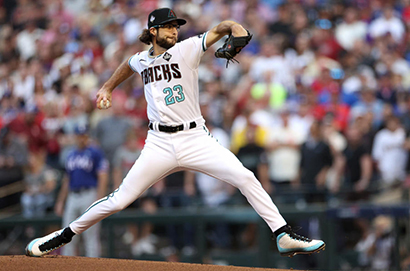 亞利桑那響尾蛇