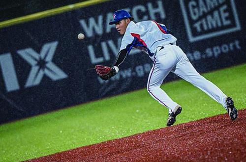 亞利桑那響尾蛇